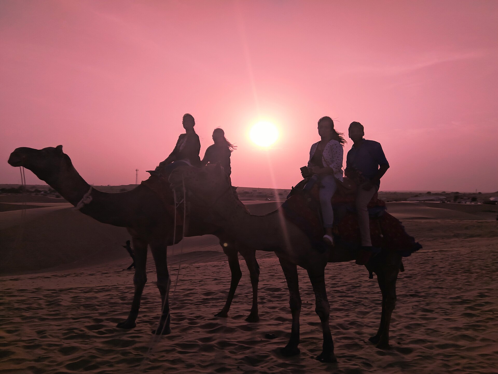 Thar Desert car rental backdrop
